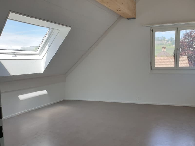 originelle 3.5 Zimmer-Dach-Wohnung West – 92.81 m2 (8)