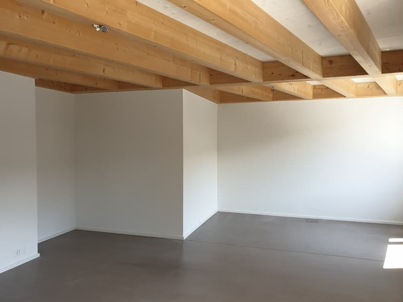 originelle 3.5 Zimmer-Dach-Wohnung West – 92.81 m2 (6)