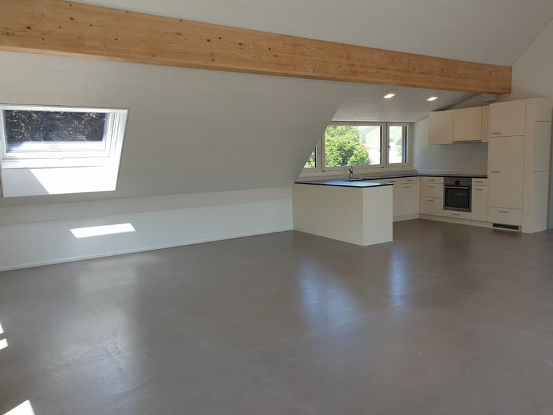 originelle 3.5 Zimmer-Dach-Wohnung West – 92.81 m2 (3)