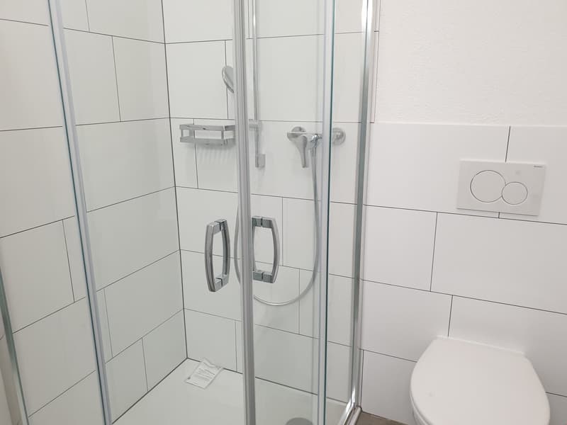 originelle 3.5 Zimmer-Dach-Wohnung West – 92.81 m2 (12)
