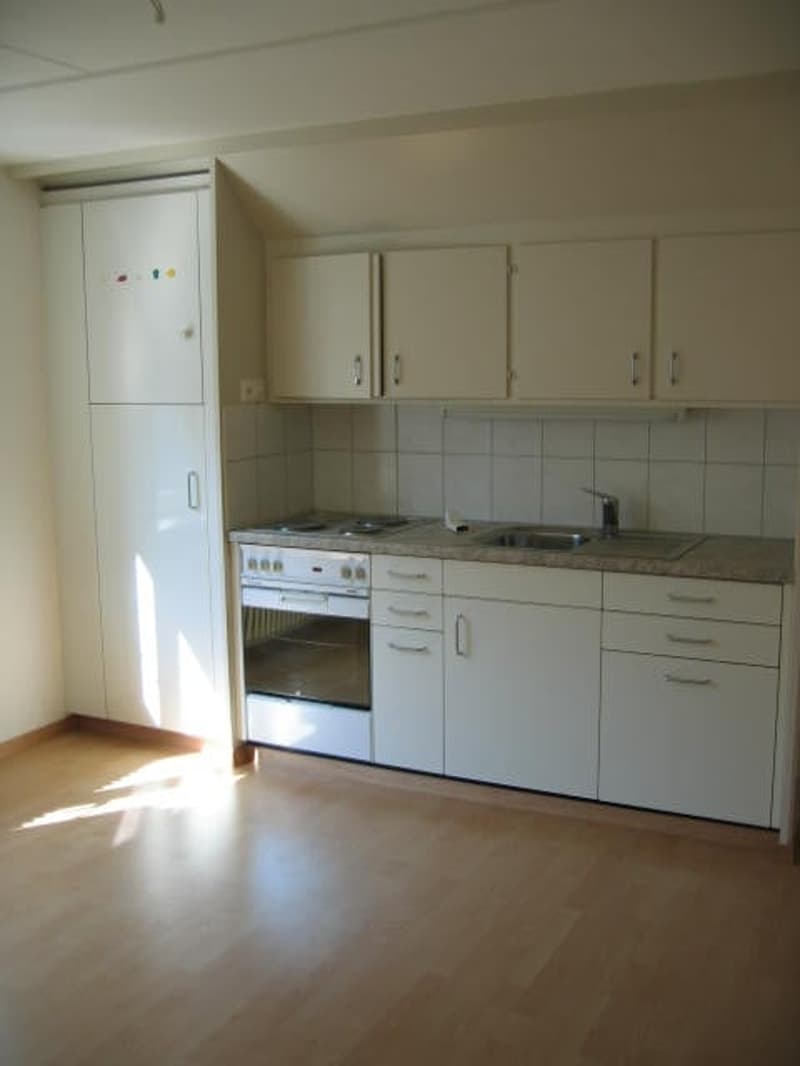 2.5 Zimmer-Wohnung im 2.OG (1)