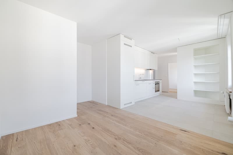 neuwertige 2.0 Zimmer-Wohnung im 3. OG ohne Balkon (5)