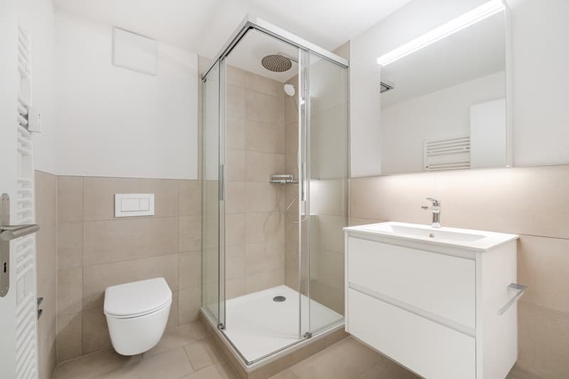 neuwertige 2.0 Zimmer-Wohnung im 3. OG ohne Balkon (8)