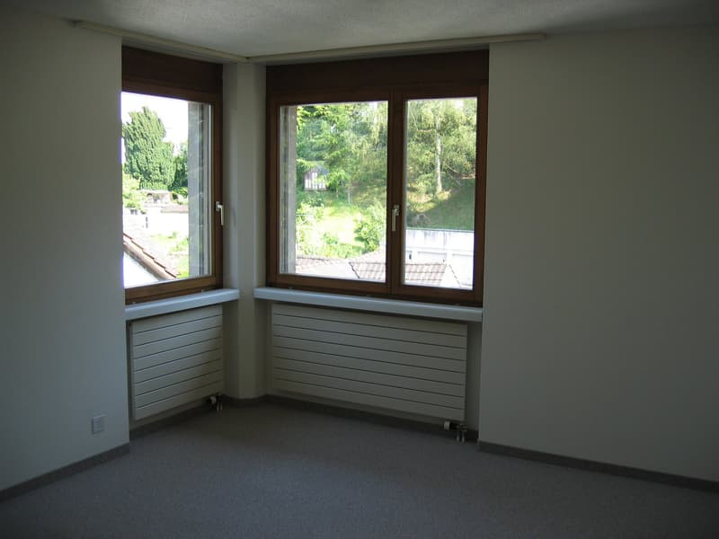 5.5 Zimmer-Wohnung im HP mit Balkon (12)