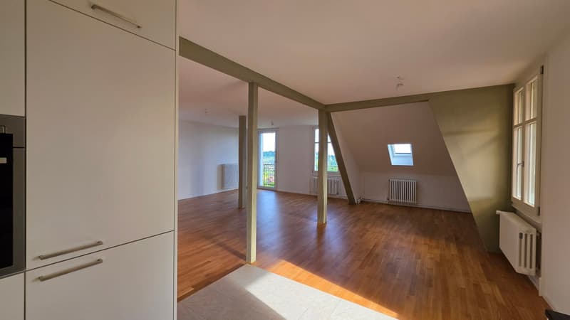 3.5 Zimmer-Dachwohnung 109m2 im 4. OG mit grosser Terrassen 36m2 (6)
