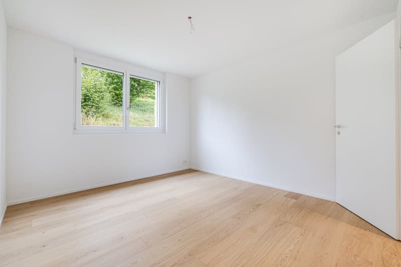 Neubau 5.5-Zimmer-Wohnung mit grosser Terrasse (8)
