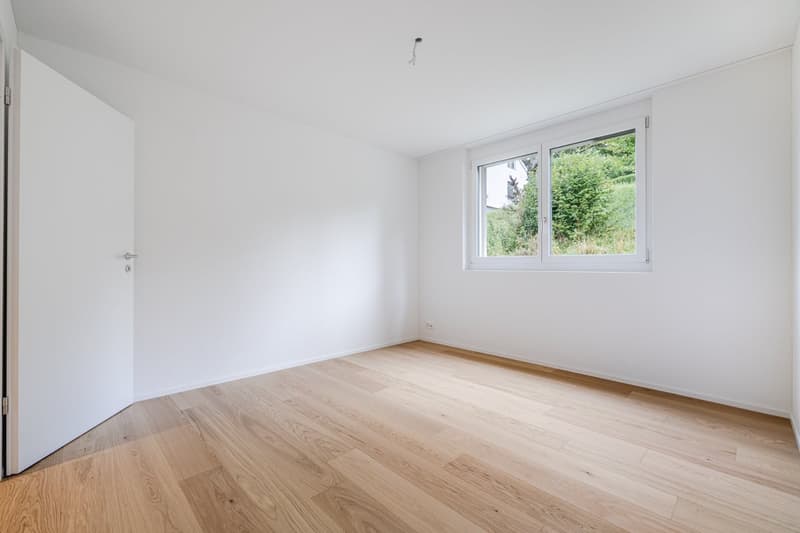 Neubau 5.5-Zimmer-Wohnung mit grosser Terrasse (9)