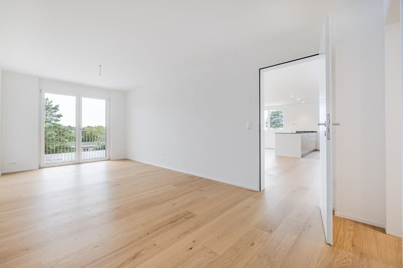 Neubau 5.5-Zimmer-Wohnung mit grosser Terrasse (5)