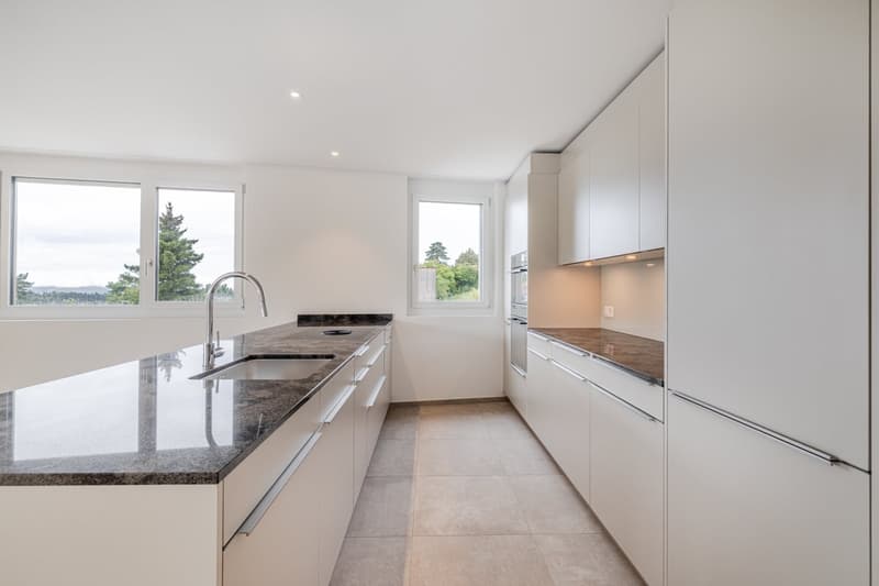 Neubau 5.5-Zimmer-Wohnung mit grosser Terrasse (3)
