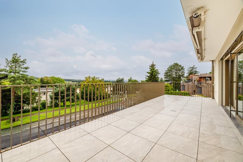 Neubau 5.5-Zimmer-Wohnung mit grosser Terrasse (1)