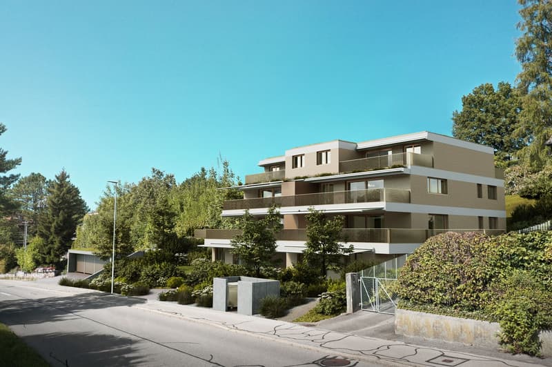 Neubau 5.5-Zimmer-Wohnung mit grosser Terrasse (12)