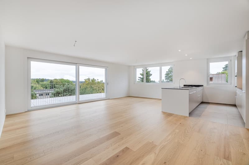 Neubau 5.5-Zimmer-Wohnung mit grosser Terrasse (2)