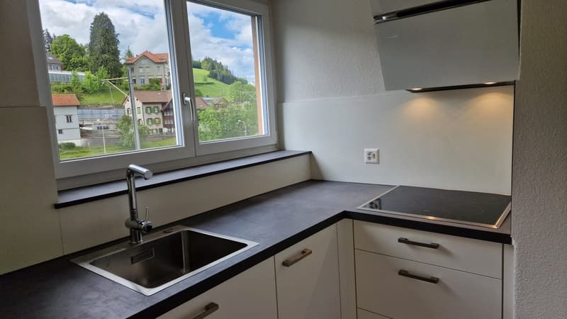 1.5 Zimmer-Wohnung HP mit Sitzplatz (3)