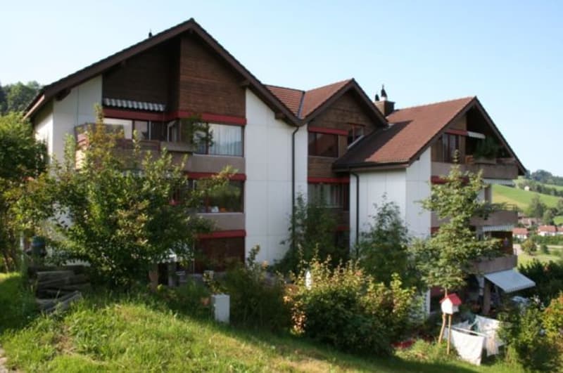 1.5 Zimmer-Wohnung HP mit Sitzplatz (10)