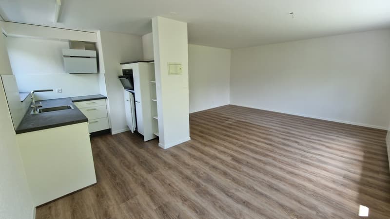 1.5 Zimmer-Wohnung HP mit Sitzplatz (4)