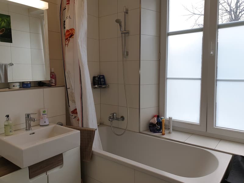 grosszügige 2.5-Zimmer-Wohnung 1. OG (7)
