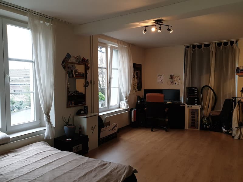 grosszügige 2.5-Zimmer-Wohnung 1. OG (5)