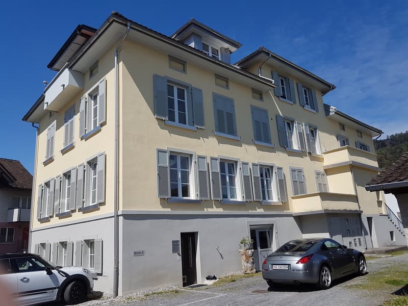 grosszügige 2.5-Zimmer-Wohnung 1. OG (10)