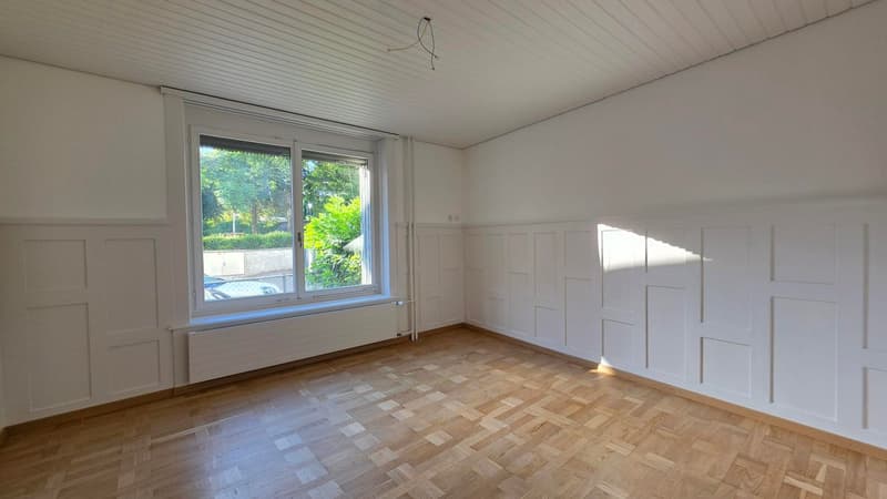 Renovierte 3-Zimmer-Wohnung im Erdgeschoss an zentraler Lage in Rorschach (4)