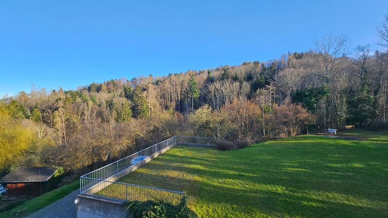 3.5 Zimmer-Wohnung 1.OG Ost mit Seesicht und  grosser Terrasse (14)