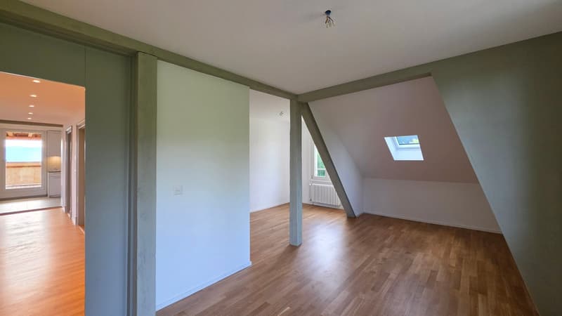 3.5 Zimmer-Dachwohnung 109m2 im 4. OG mit grosser Terrassen 36m2 (11)