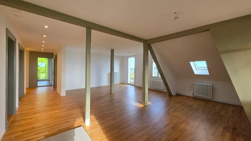 3.5 Zimmer-Dachwohnung 109m2 im 4. OG mit grosser Terrassen 36m2 (7)