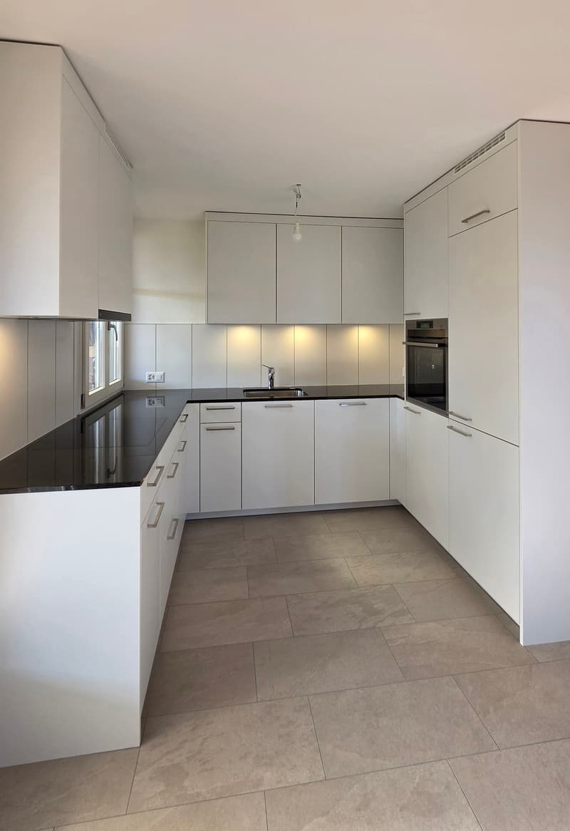3.5 Zimmer-Dachwohnung 109m2 im 4. OG mit grosser Terrassen 36m2 (4)