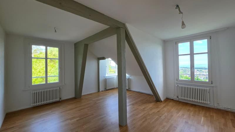 3.5 Zimmer-Dachwohnung 109m2 im 4. OG mit grosser Terrassen 36m2 (13)