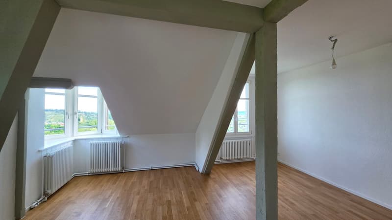 3.5 Zimmer-Dachwohnung 109m2 im 4. OG mit grosser Terrassen 36m2 (14)