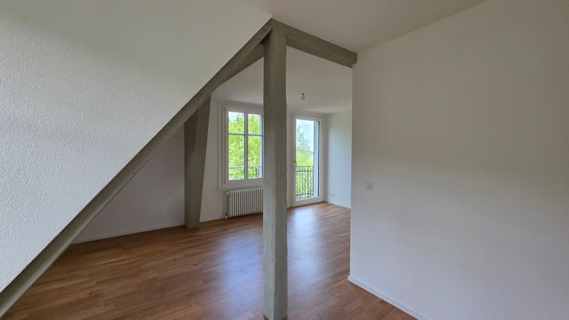 3.5 Zimmer-Dachwohnung 109m2 im 4. OG mit grosser Terrassen 36m2 (12)
