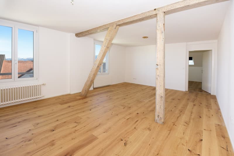 heimelige neuwertige 3.5 Zimmer-Dachwohnung 2. OG (2)