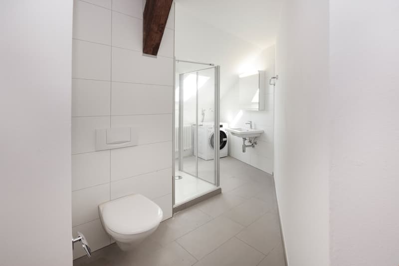heimelige neuwertige 3.5 Zimmer-Dachwohnung 2. OG (8)