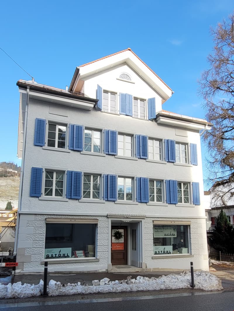 2.0-Zimmer-Wohnung 53m2 mit Terrasse 28m2 (10)