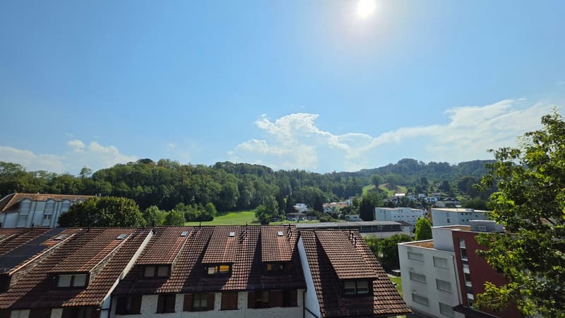 Charmante 2.5-Zimmer-Dachwohnung im Altbau an der Rosenstrasse, St. Margrethen (9)