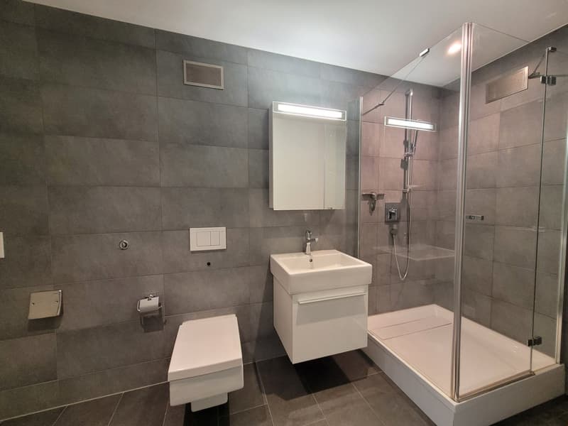 4,5 Zimmer-Wohnung im EG mit Gartensitzplatz (11)