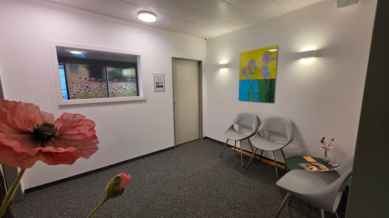 Modernes Büro an zentraler Lage in Altstätten SG (5)