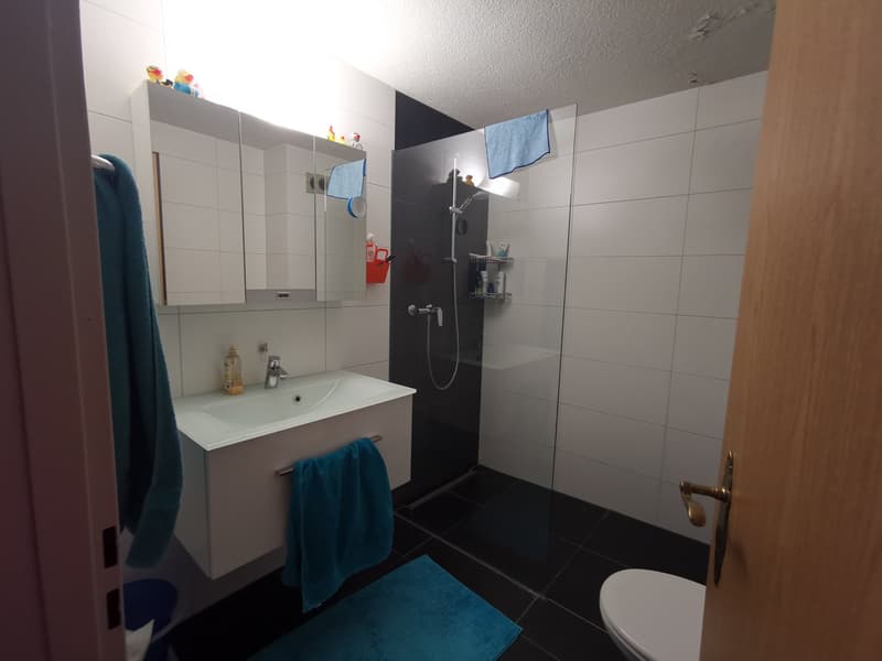 Charmante 3.5-Zimmer-Wohnung mit Balkon und Kamin in Widnau (11)