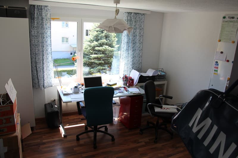 Charmante 3.5-Zimmer-Wohnung mit Balkon und Kamin in Widnau (8)