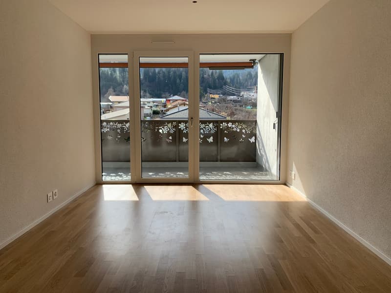 wunderschöne 2½-Zimmerwohnung (3)