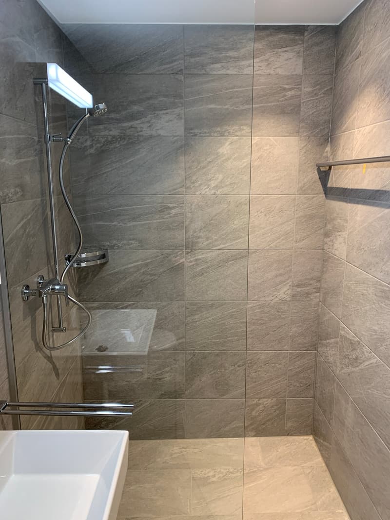 wunderschöne 2½-Zimmerwohnung (5)