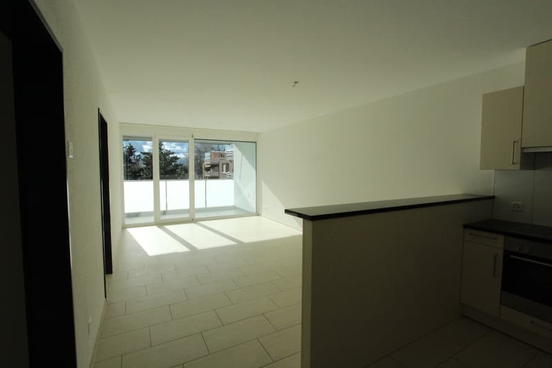 schöne 3½-Zimmerwohnung zu vermieten (2)