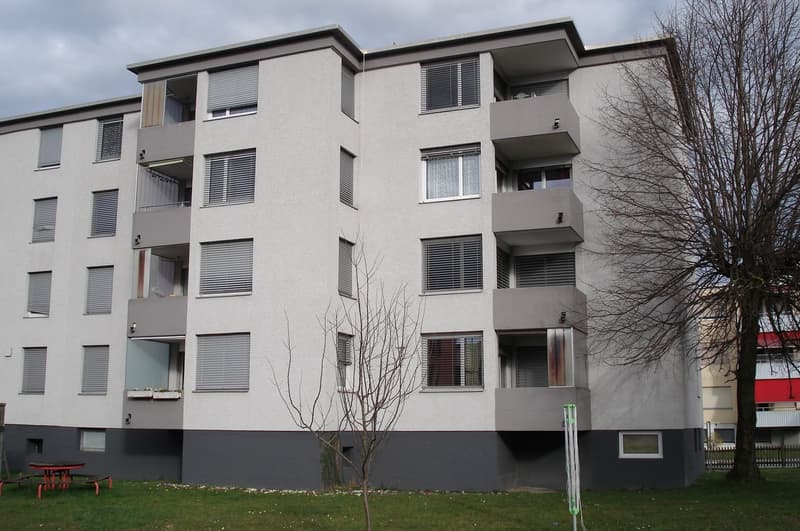 3½-Zimmerwohnung zu vermieten (3)