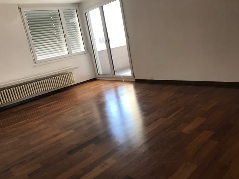 3½-Zimmerwohnung zu vermieten (6)