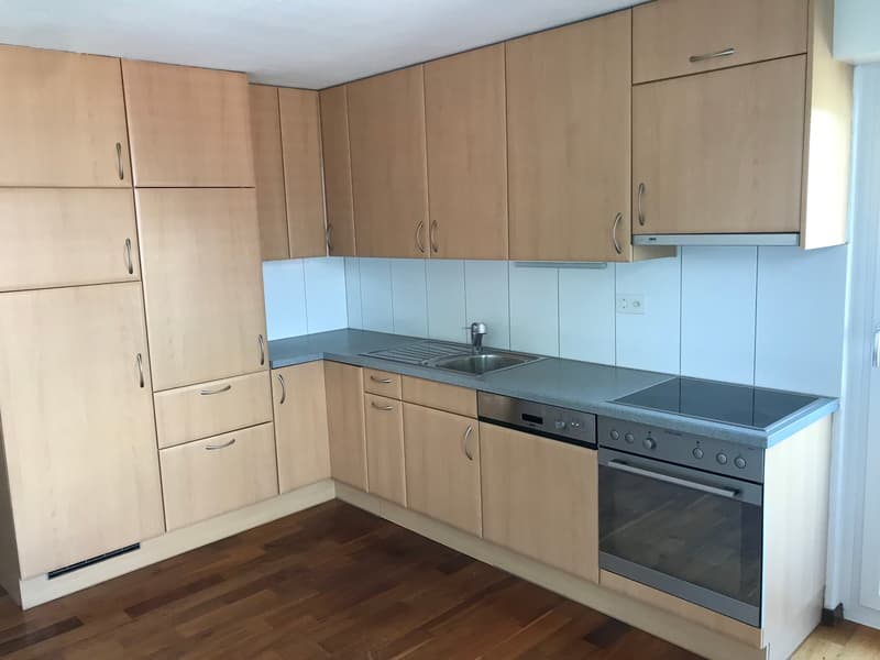 3½-Zimmerwohnung zu vermieten (4)