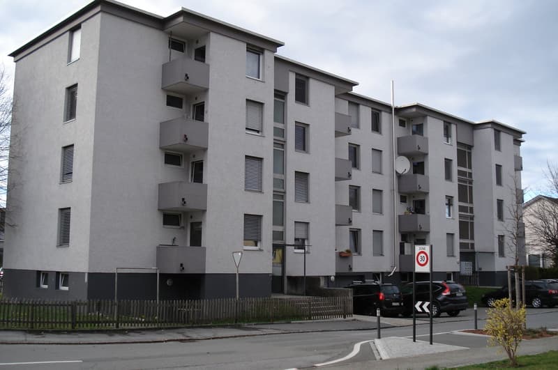 3½-Zimmerwohnung zu vermieten (2)