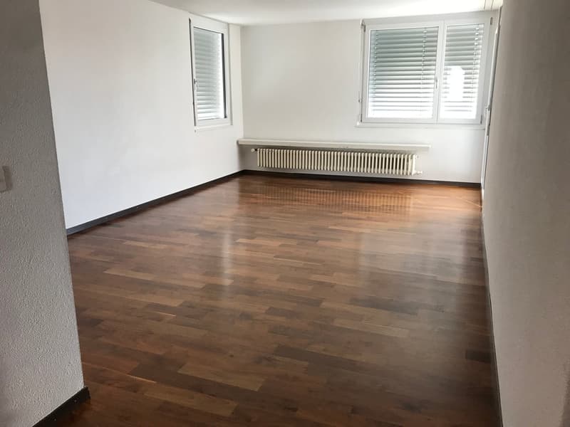 3½-Zimmerwohnung zu vermieten (5)