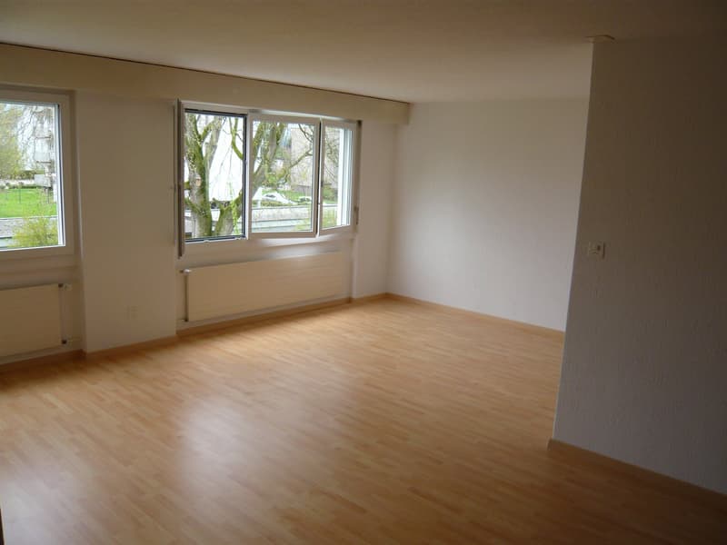 moderne 1½-Zimmerwohnung zu vermieten (3)