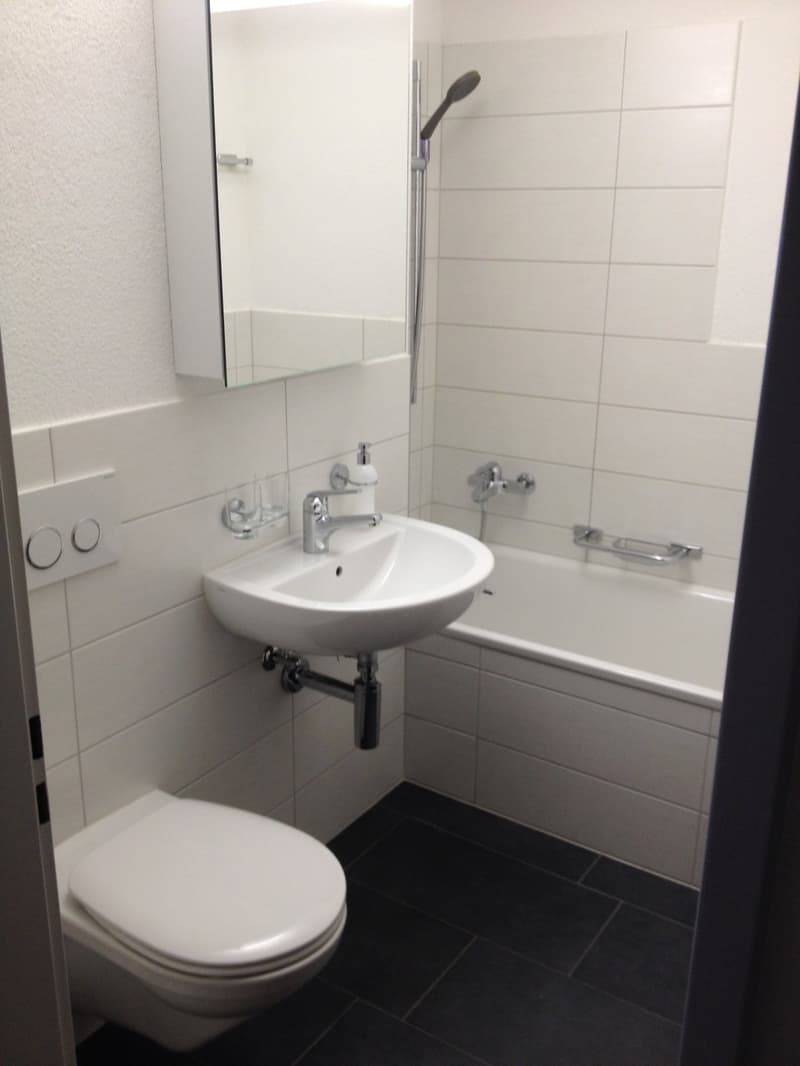 moderne 1½-Zimmerwohnung zu vermieten (5)
