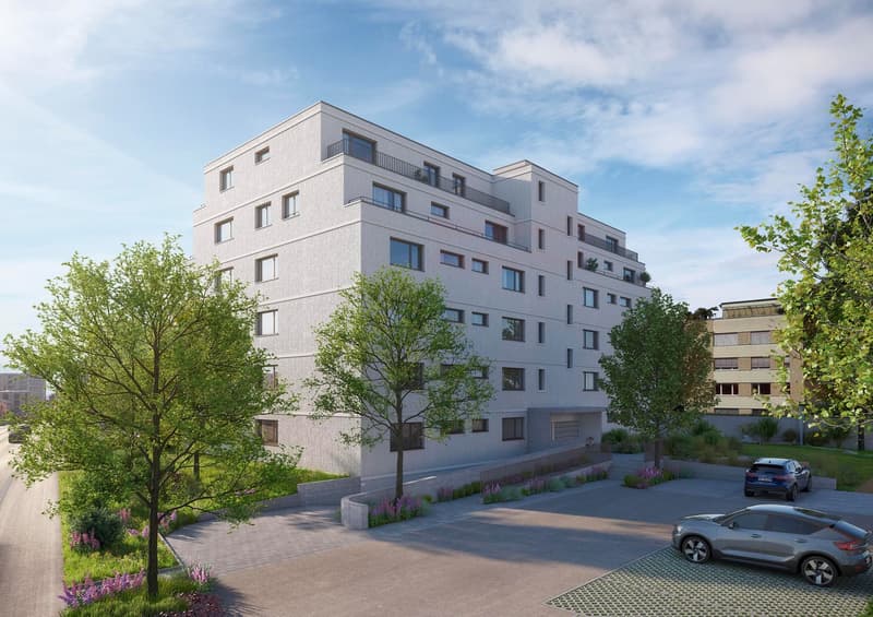 NEUBAU - Moderne Gewerberäume in Heerbrugg (1)