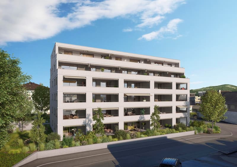 NEUBAU - Moderne Gewerberäume in Heerbrugg (3)